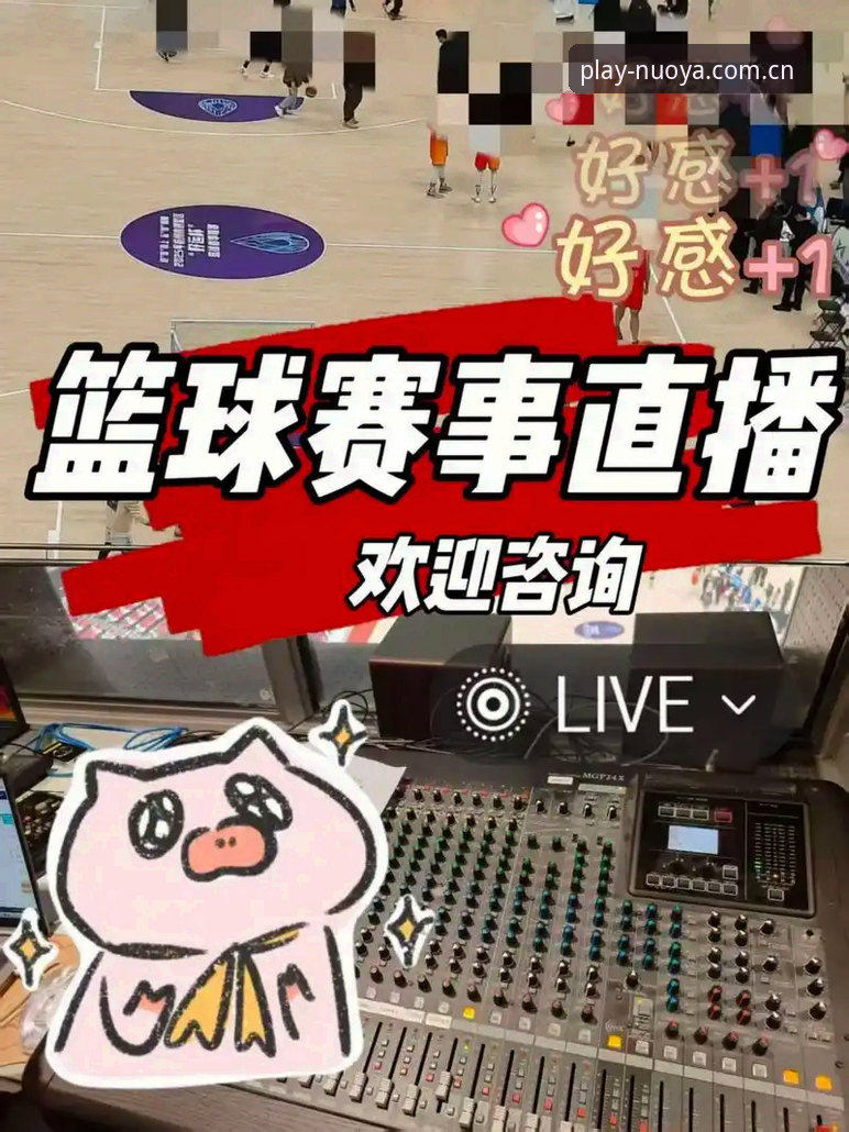 资深用户分享：诺亚体育APP下载与赛事直播的实战经验